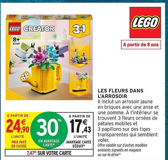 LES FLEURS DANS L'ARROSOIR