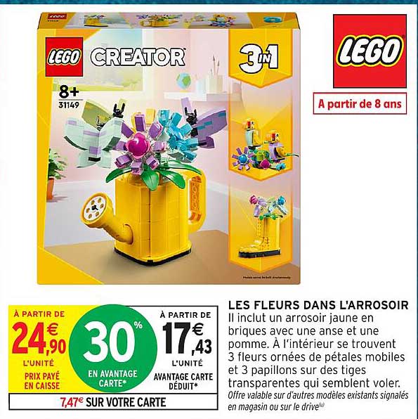 LES FLEURS DANS L'ARROSOIR