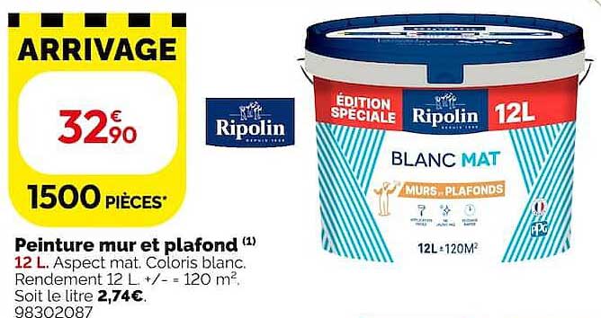 Peinture mur et plafond
