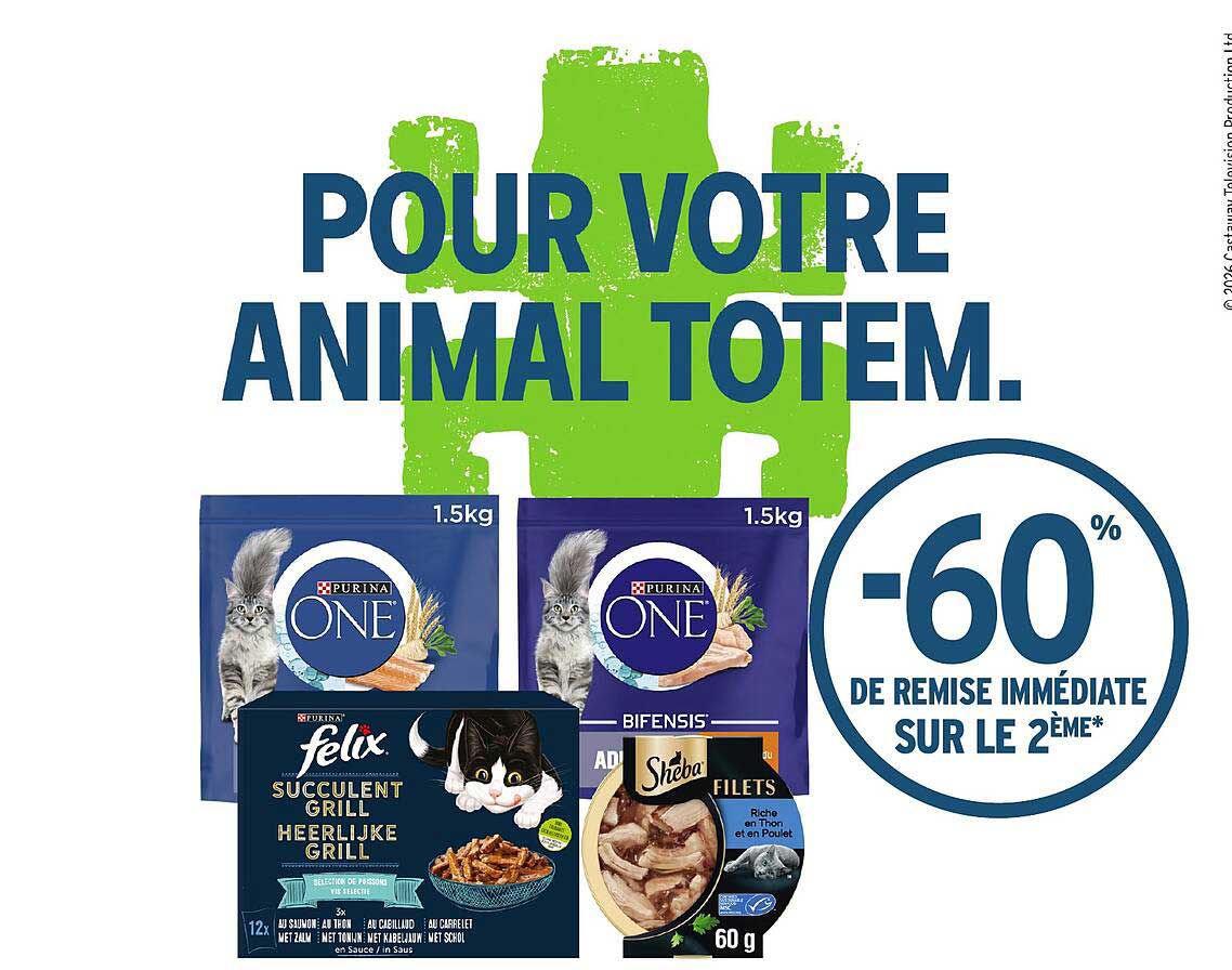 POUR VOTRE ANIMAL TOTEM.