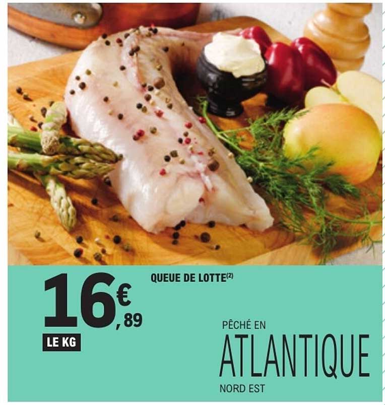 QUEUE DE LOTTE(2)