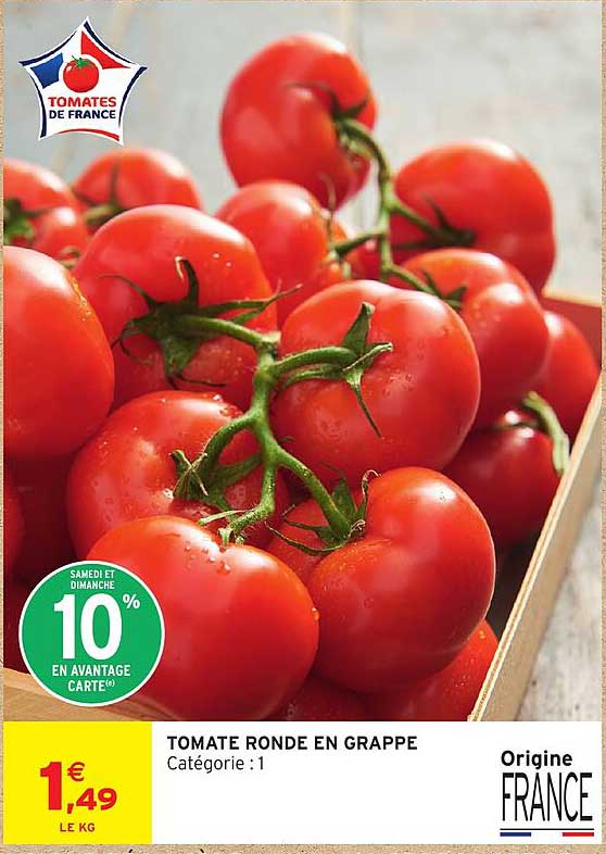 TOMATE RONDE EN GRAPPE