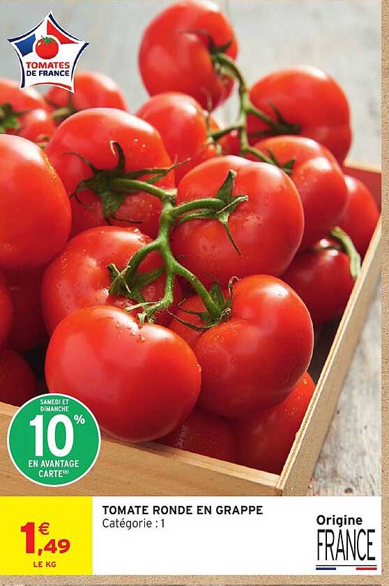 TOMATE RONDE EN GRAPPE
