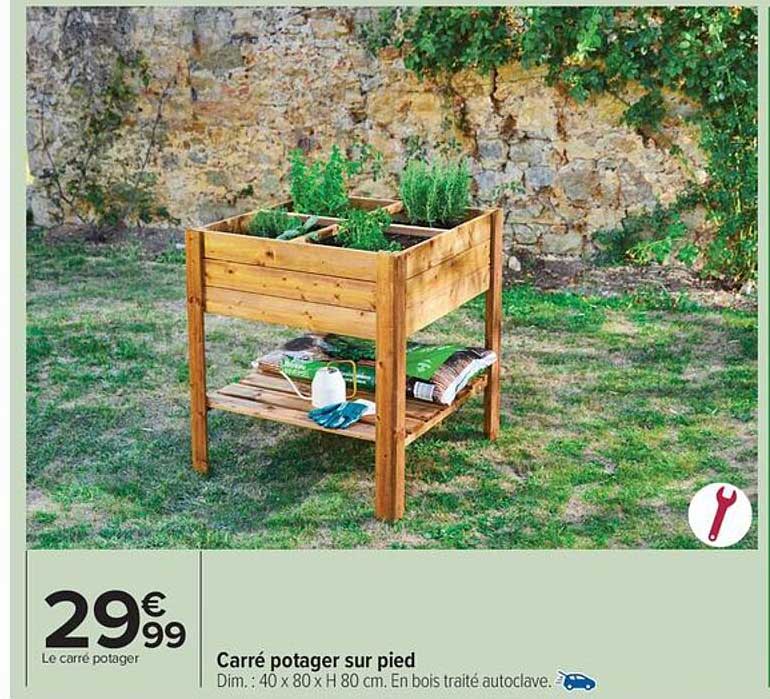 Sitemapcdatahttpsshopinf Inetcompotager Sur Pied Lidl