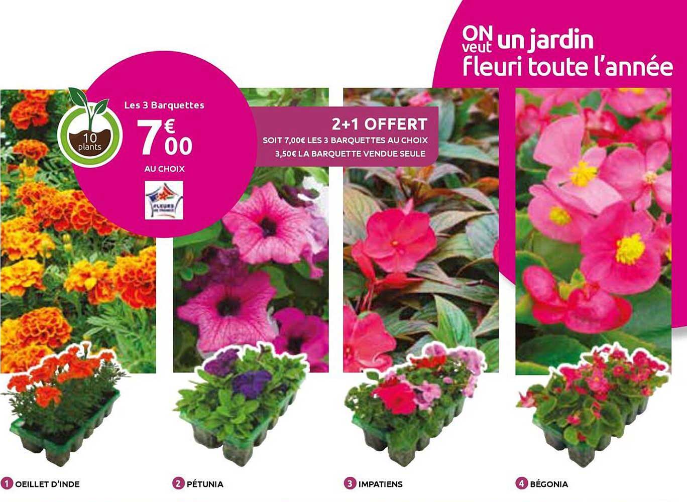 2+1 OFFERT
