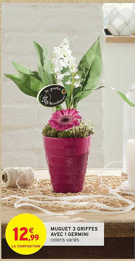 MUGUET 3 GRIFFES AVEC 1GERMINI coloris variés