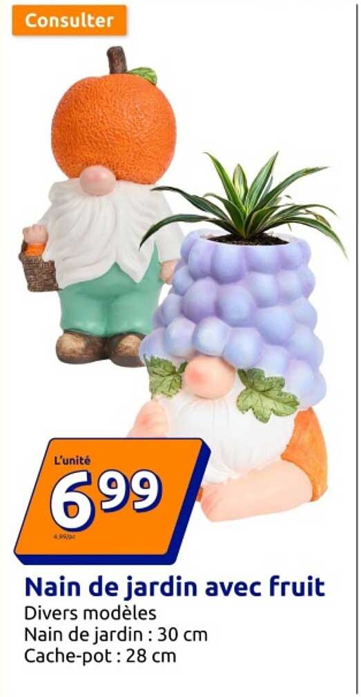 Nain de jardin avec fruit