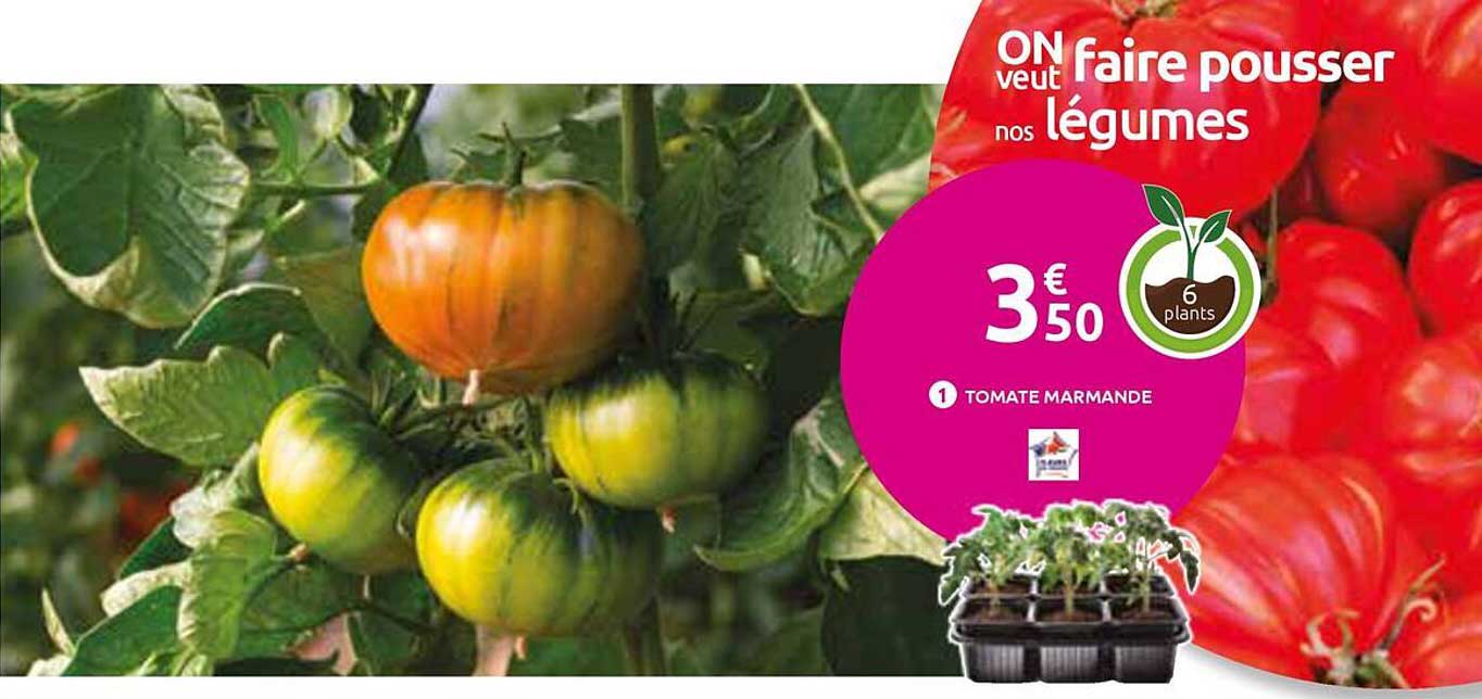ON veut faire pousser nos légumes