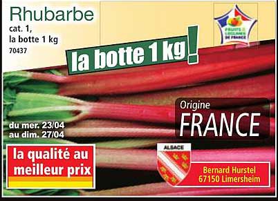 Rhubarbe, la botte 1 kg !