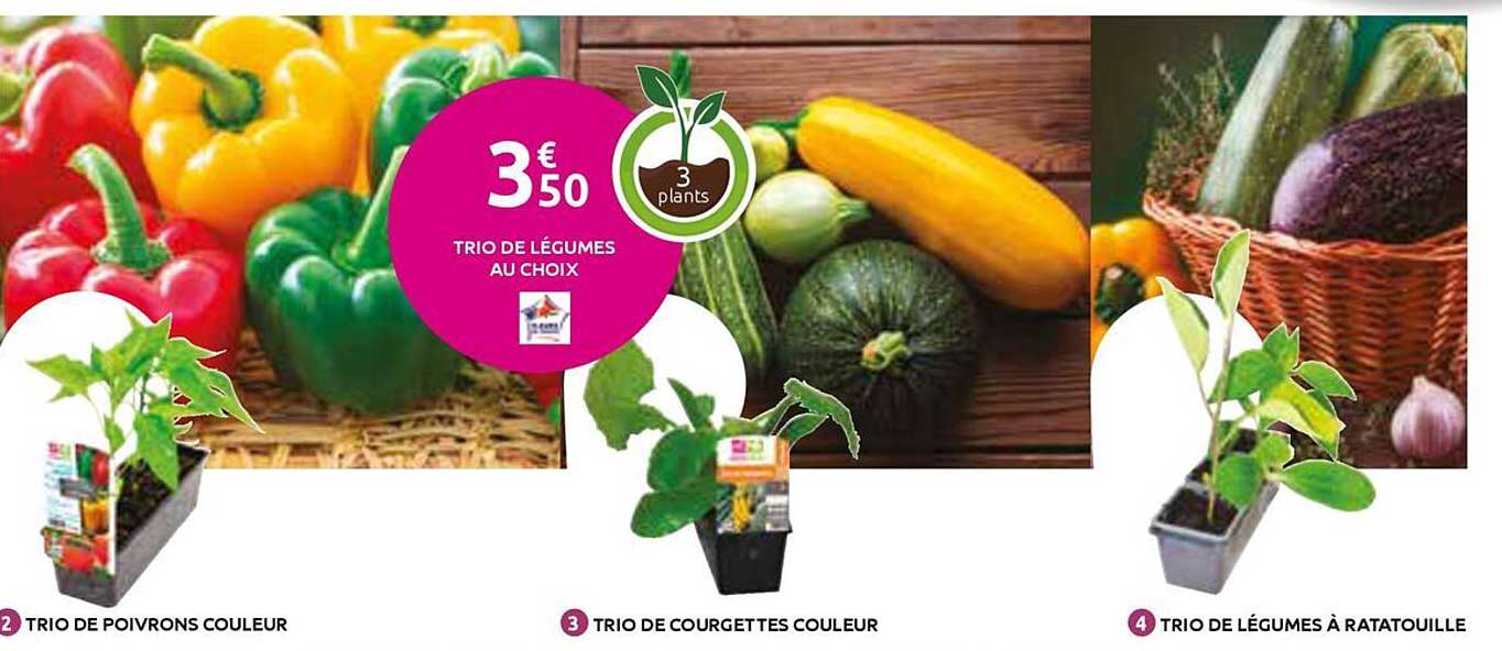 TRIO DE LÉGUMES AU CHOIX