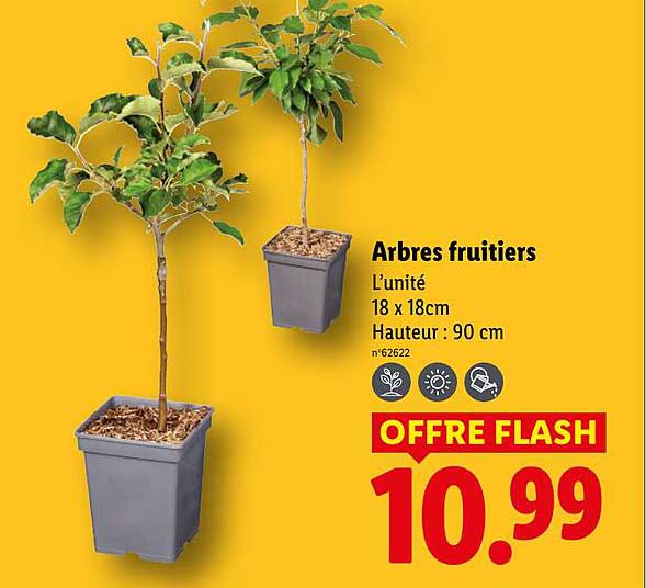 Arbres fruitiers