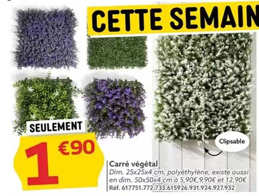 Carré végétal