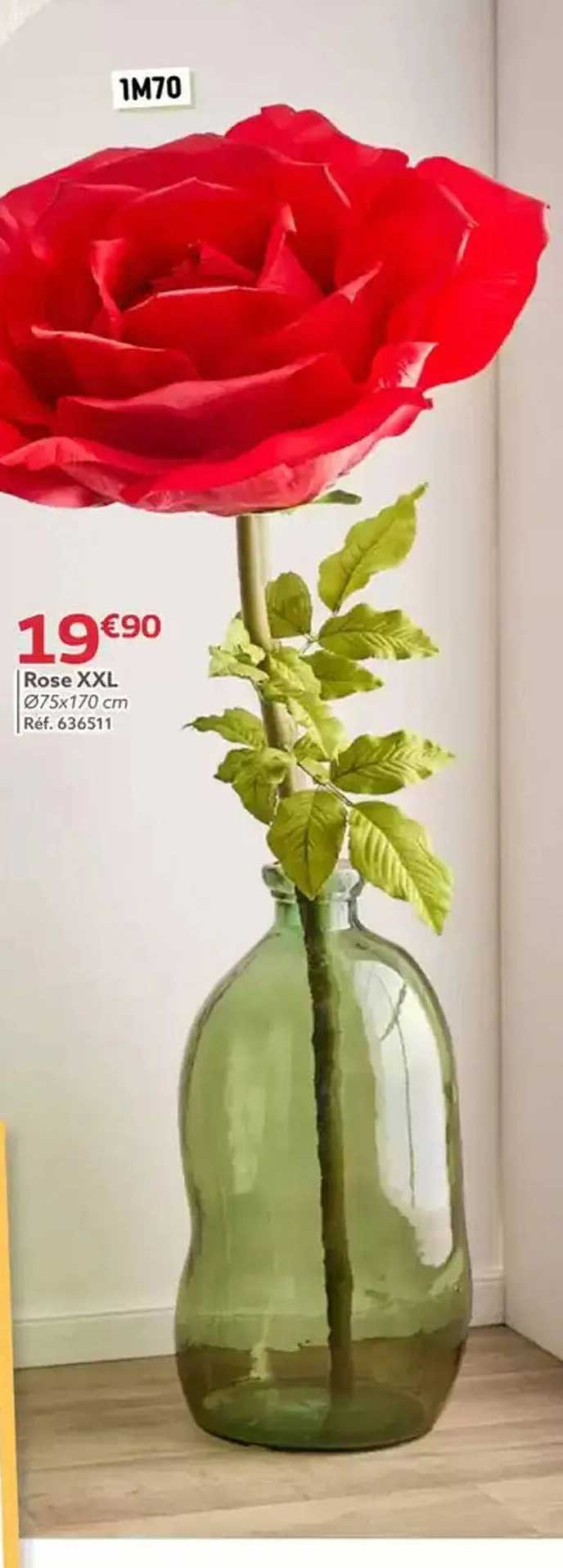 Rose XXL