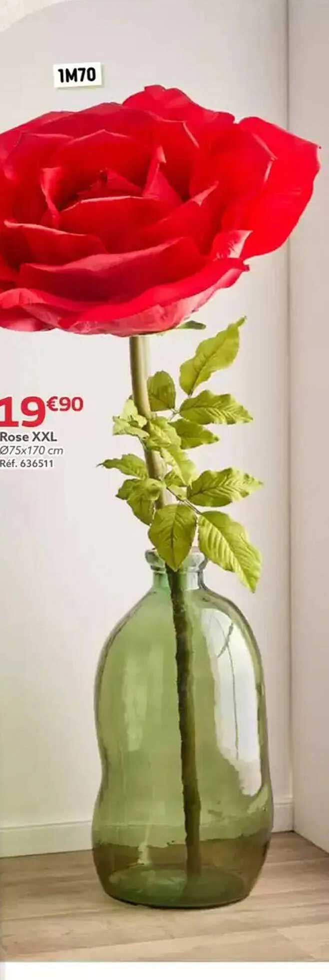 Rose XXL
