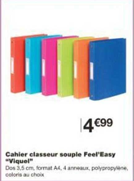 Cahier classeur souple Feel'Easy “Viquel”