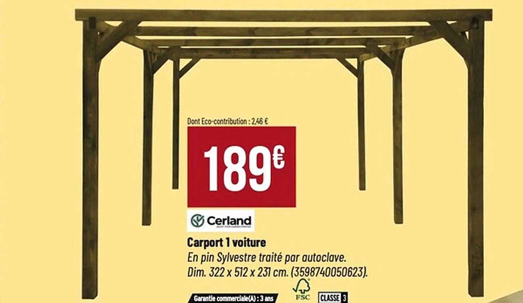 Carport 1 voiture