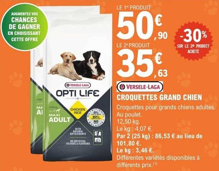 CROQUETTES GRAND CHIEN