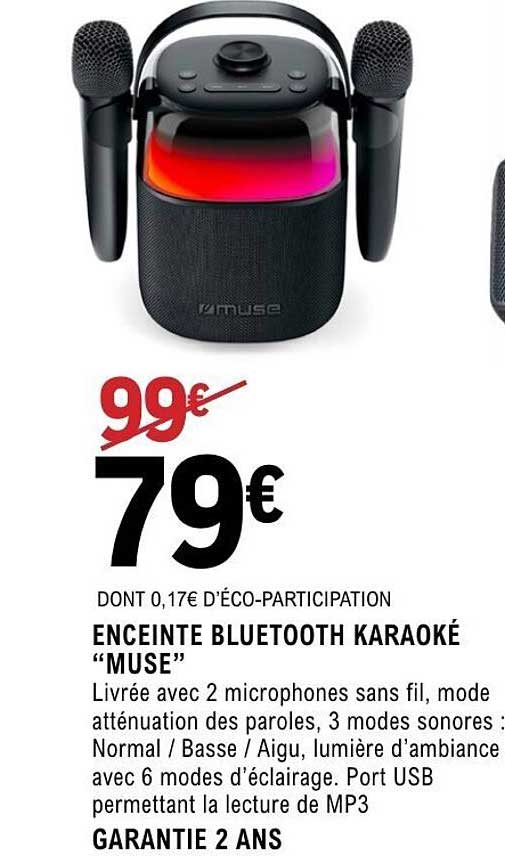 ENCEINTE BLUETOOTH KARAOKÉ “MUSE”