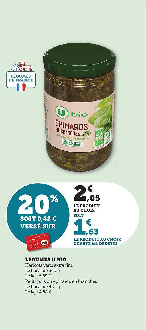 Épinards en Branches U bio