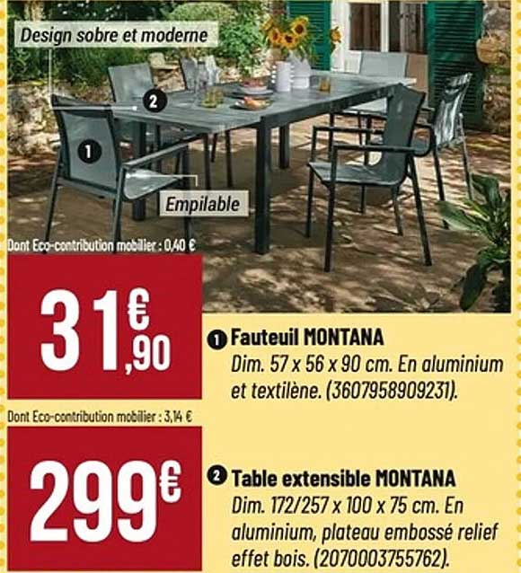 Fauteuil MONTANA
