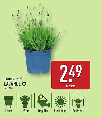 GARDENLINE® LAVANDE