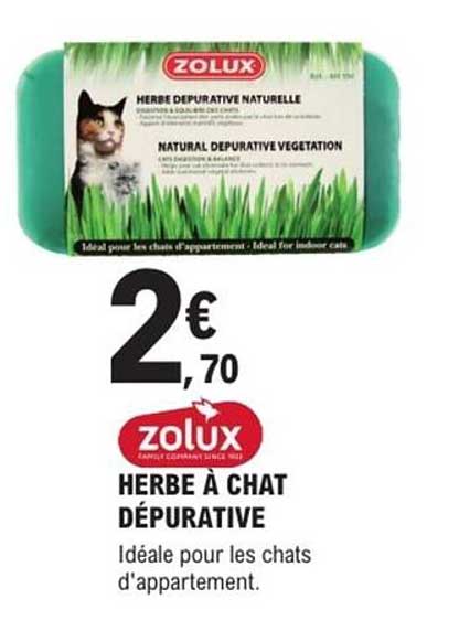 HERBE À CHAT DÉPURATIVE