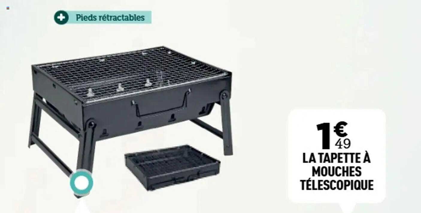 LA TAPETTE À MOUCHES TÉLESCOPIQUE