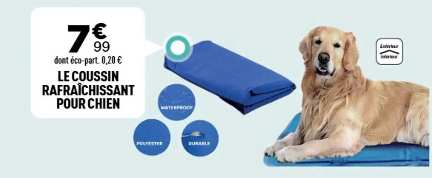LE COUSSIN RAFRAÎCHISSANT POUR CHIEN