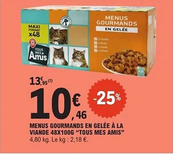 MENUS GOURMANDS EN GELÉE À LA VIANDE 48X100G "TOUS MES AMIS"