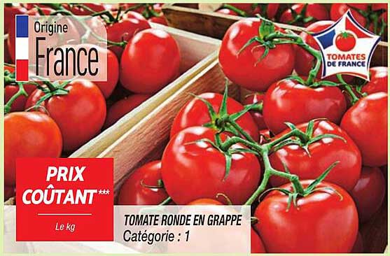 TOMATE RONDE EN GRAPPE