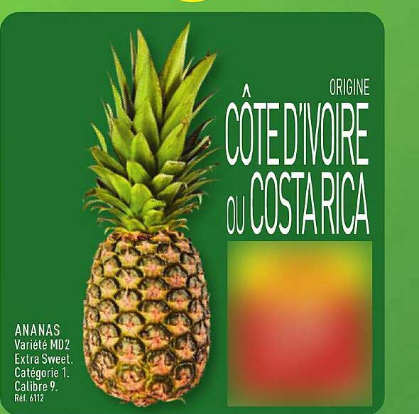 ANANAS Variété MDZ Extra Sweet, Catégorie 1, Calibre 9, Réf. 6112