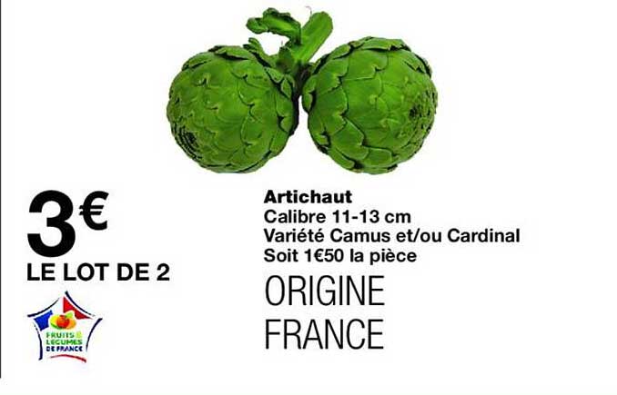 Artichaut