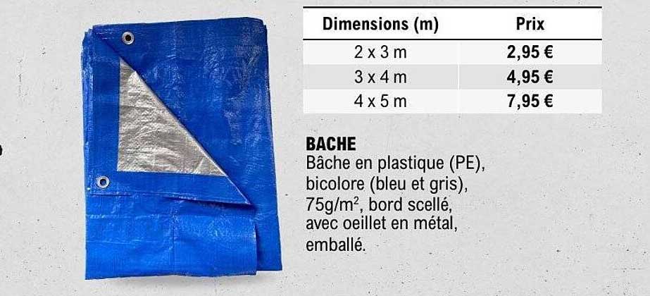 BACHE
