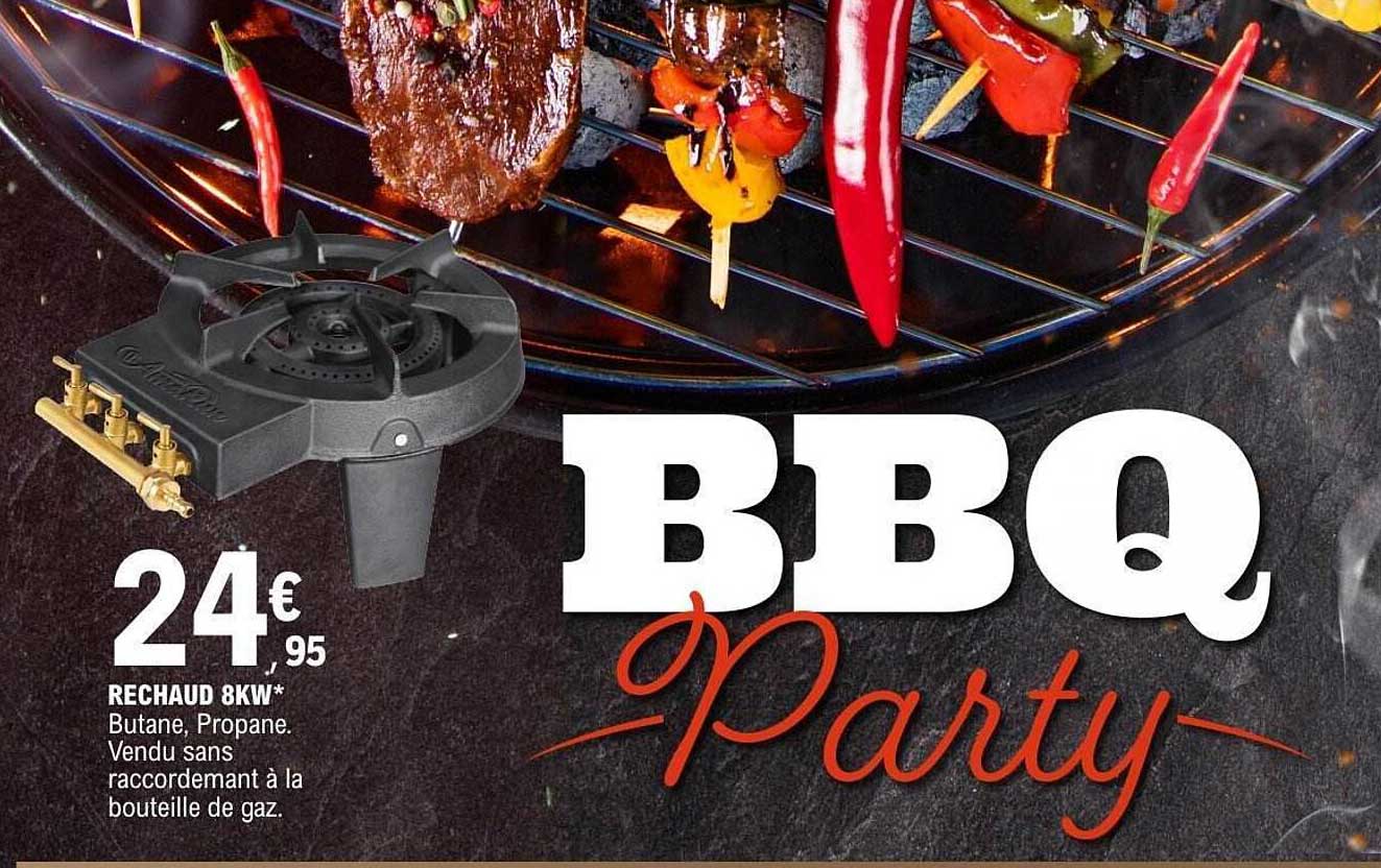 BBQ Party