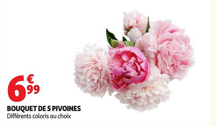BOUQUET DE 5 PIVOINES
Différents coloris au choix
