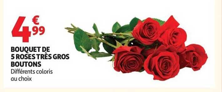 BOUQUET DE 5 ROSES TRÈS GROS BOUTONS