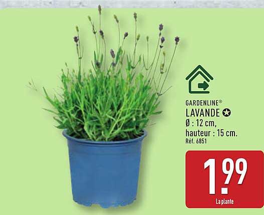 GARDENLINE LAVANDE Ø : 12 cm, hauteur : 15 cm. Réf. 6851
