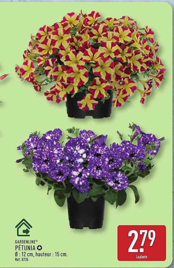 GARDENLINE® PÉTUNIA Ø : 12 cm, hauteur : 15 cm. Réf. 8735