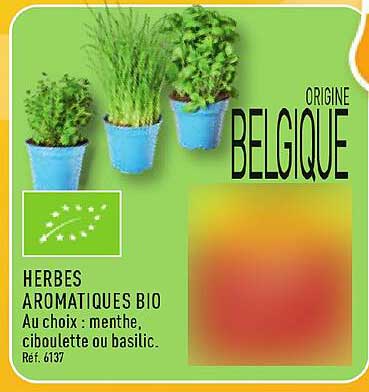 HERBES AROMATIQUES BIO Au choix : menthe, ciboulette ou basilic. Réf. 6137 ORIGINE BELGIQUE