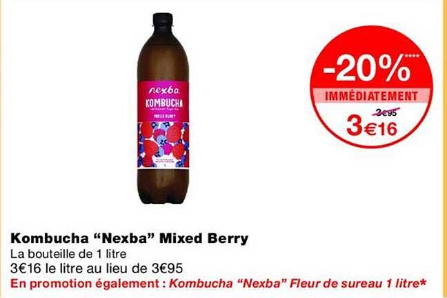Kombucha “Nexba” Mixed Berry