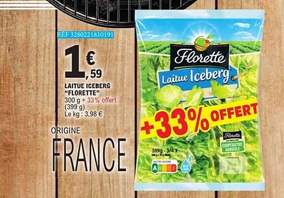 LAITUE ICEBERG "FLORETTE"