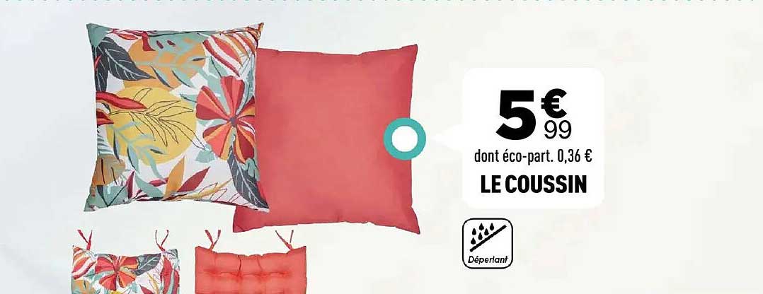 LE COUSSIN
