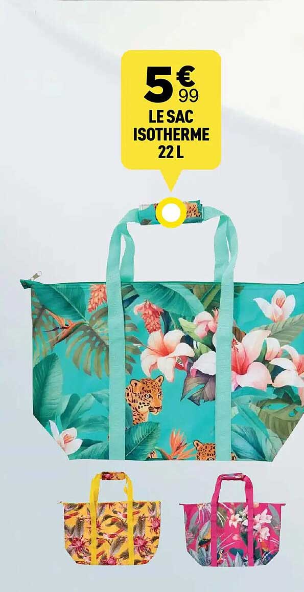 LE SAC ISOTHERME 22 L