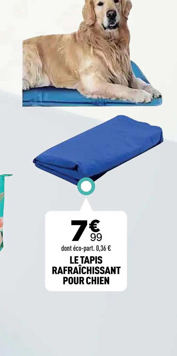 LE TAPIS RAFRAÎCHISSANT POUR CHIEN