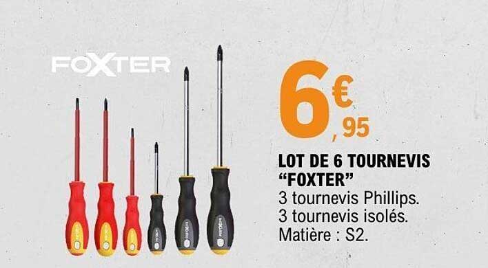 LOT DE 6 TOURNEVIS "FOXTER"