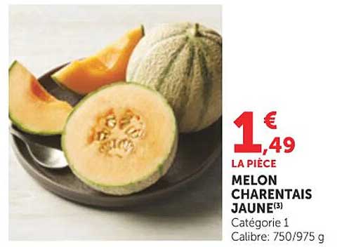 MELON CHARENTAIS JAUNE(3)