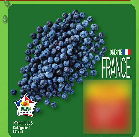 MYRTILLES Catégorie 1. Réf. 0611