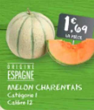 Origine Espagne MELON CHARENTAIS Catégorie 1 Calibre 12