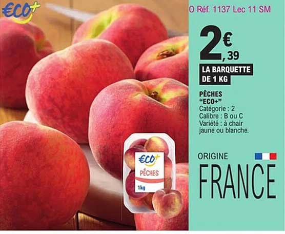 PÊCHES “ECO+”