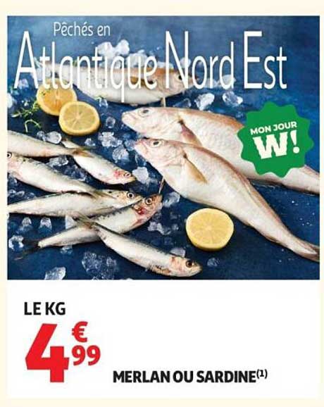 Pêchés en Atlantique Nord Est